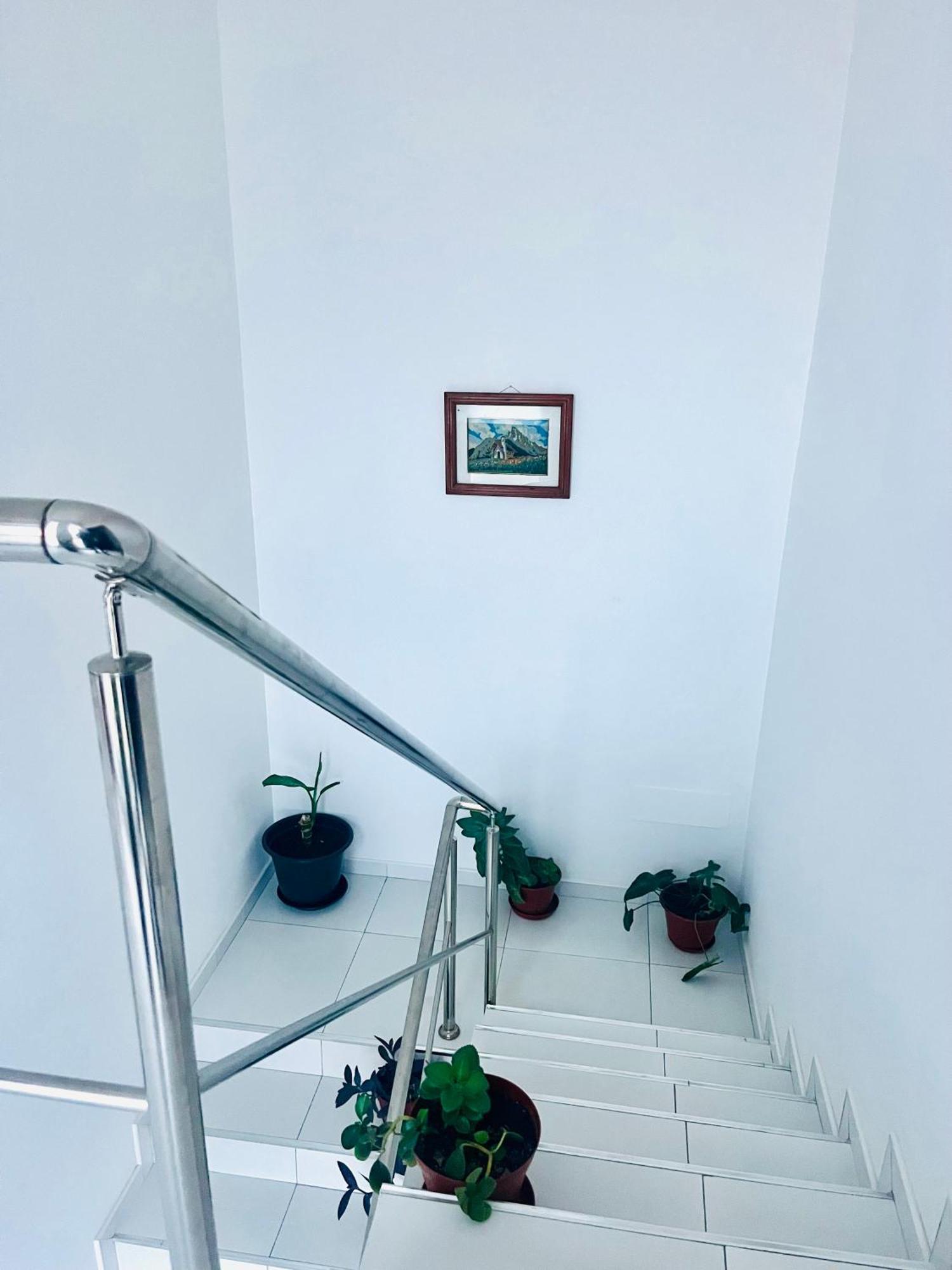 Oasis De Retour Apartment Ponta Do Sol Exterior photo